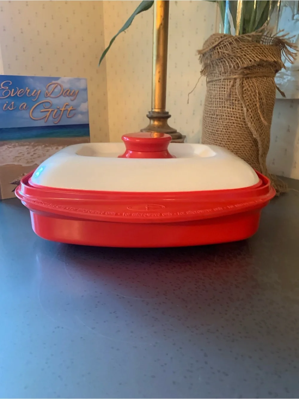 RANGE MATE grill for use in microwave only. Rectangle, RED and WHITE.
